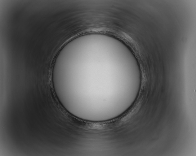 X0000088651361200705250933