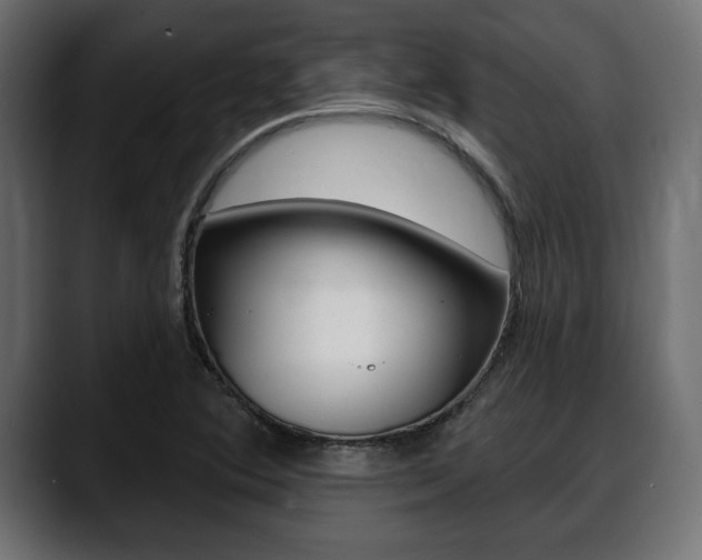 X0000088651364200705250933