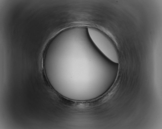 X0000088651365200705250933