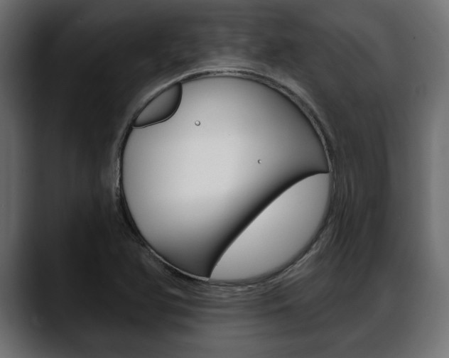 X0000088651366200705250933