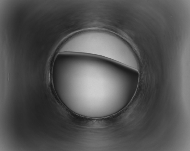 X0000088651368200705250933