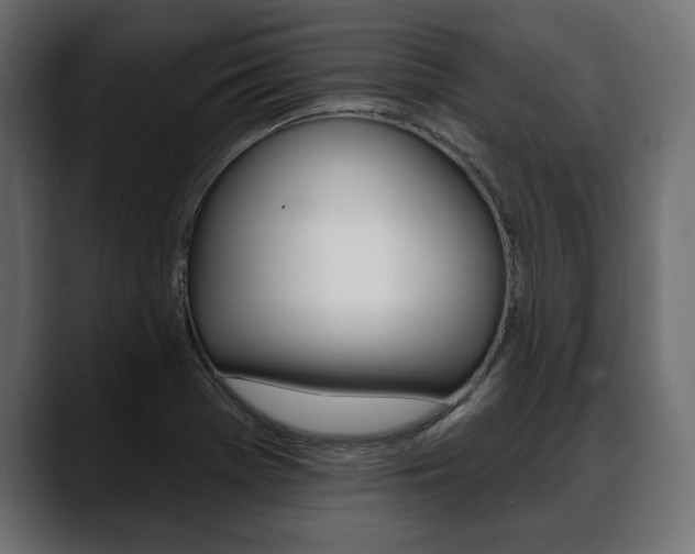 X0000088651369200705250933