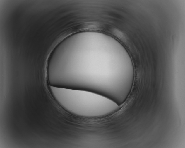 X0000088651370200705250933