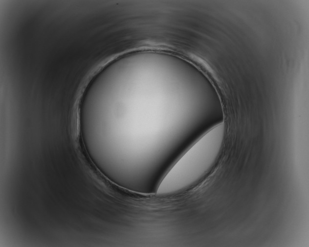 X0000088651371200705250933