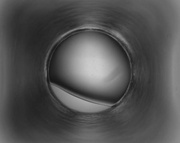 X0000088651372200705250933