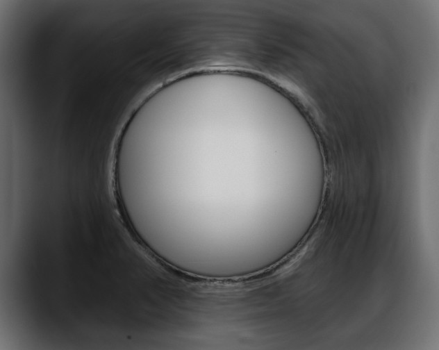X0000088651374200705250933