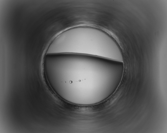 X0000088651375200705250933