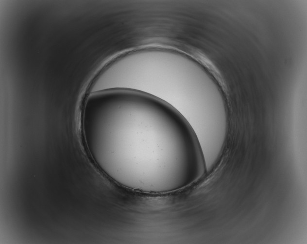 X0000088651376200705250933
