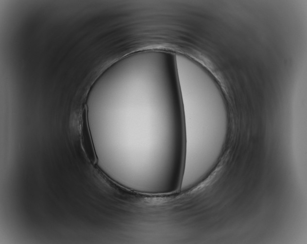X0000088651377200705250933