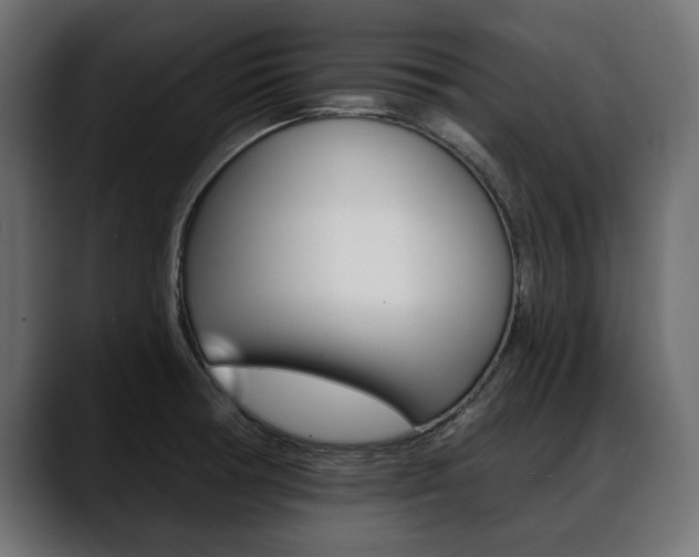 X0000088651378200705250933