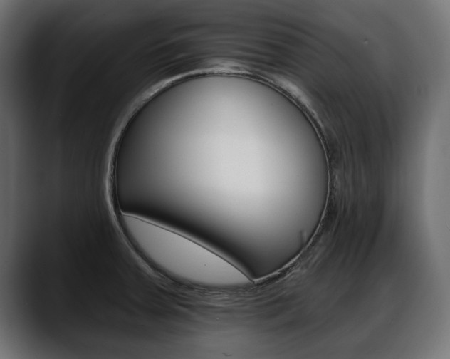 X0000088651379200705250933