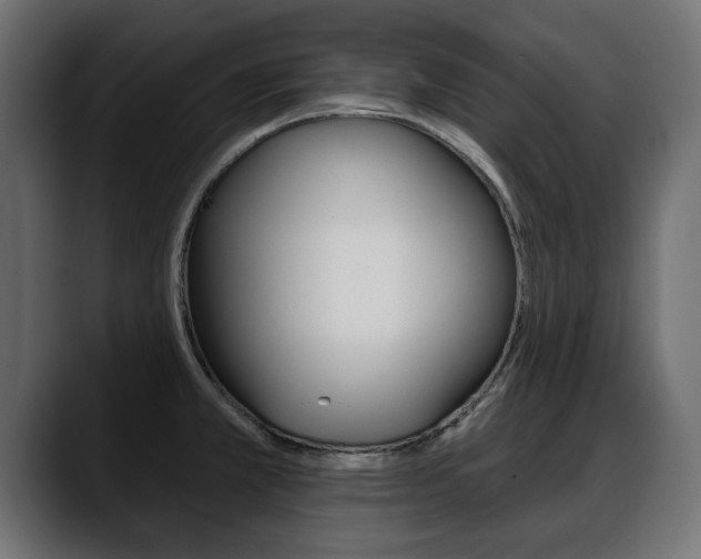 X0000088651381200705250933