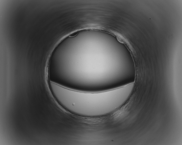 X0000088651383200705250933