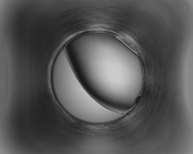 X0000088651384200705250933