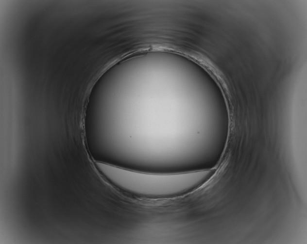 X0000088651385200705250933