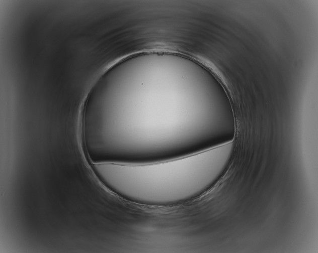 X0000088651387200705250933