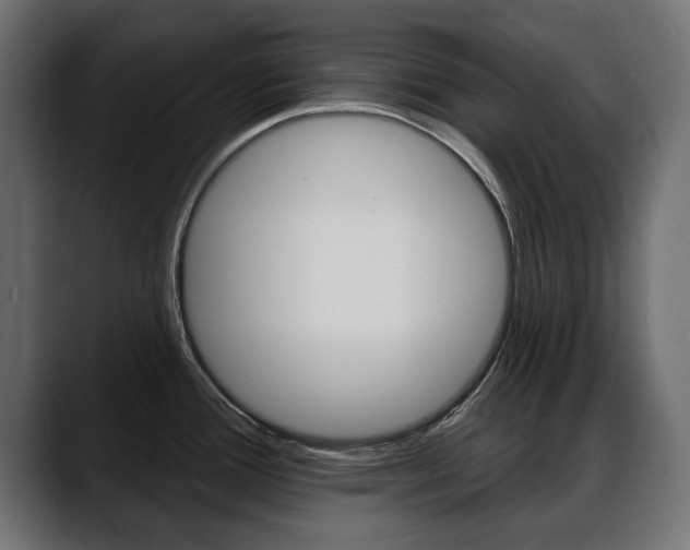 X0000088651388200705250933
