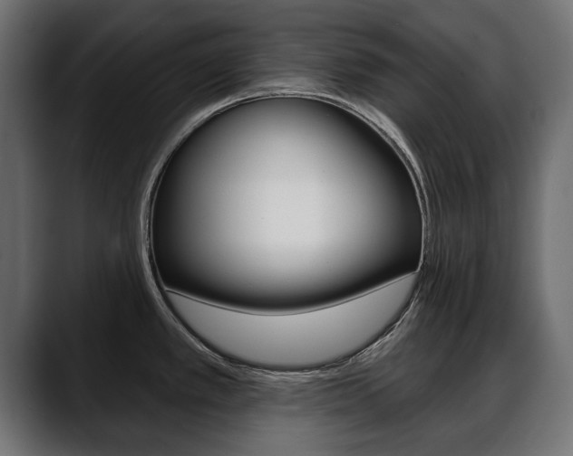 X0000088651389200705250933