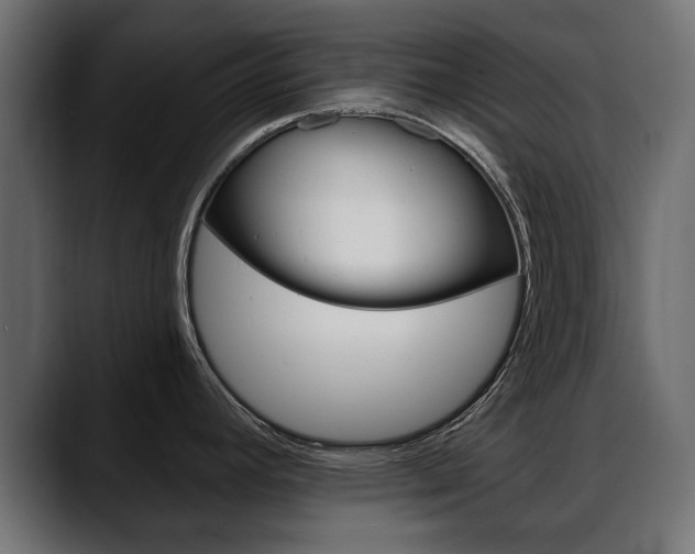 X0000088651392200705250933
