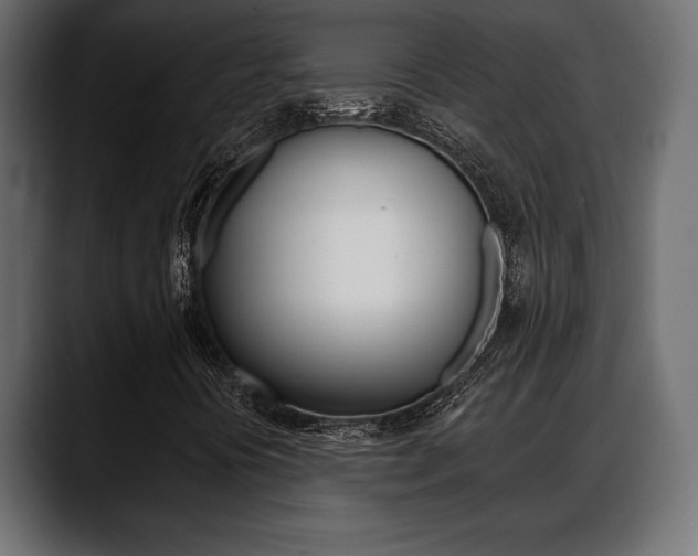 X0000088651394200705250932