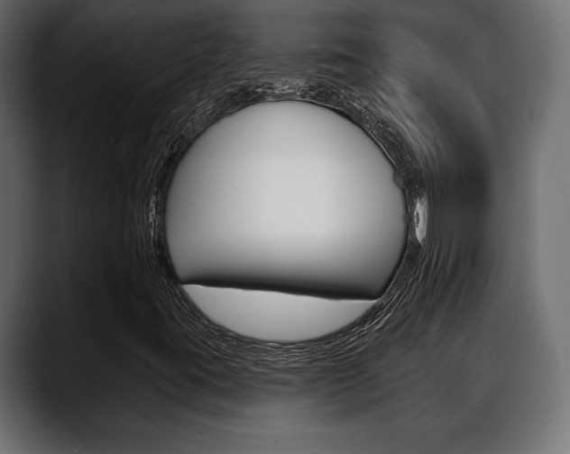 X0000088651395200705250932