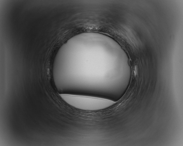X0000088651396200705250932