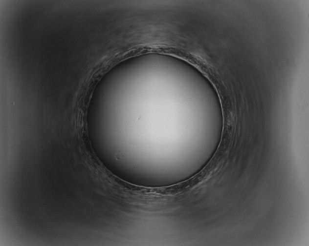 X0000088651398200705250932