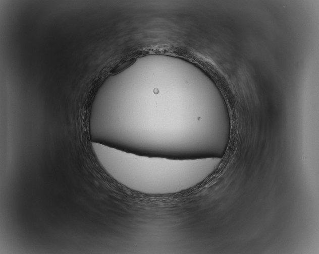 X0000088651399200705250932