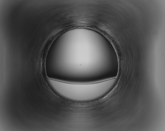 X0000088651402200705250932