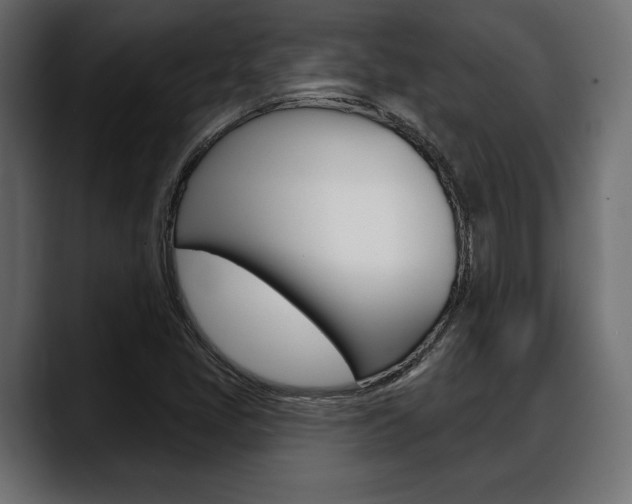 X0000088651405200705250932