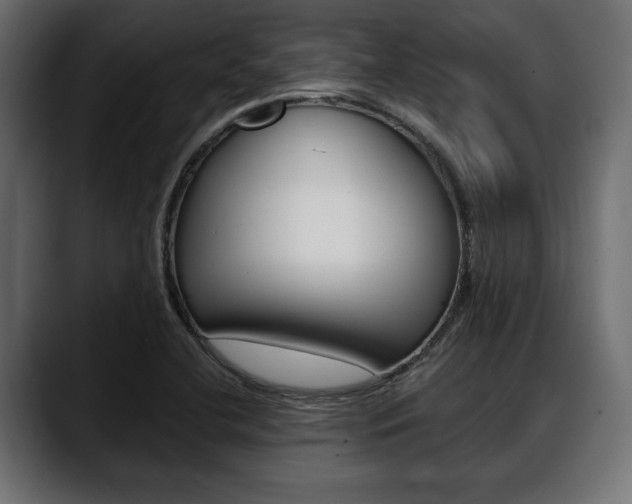 X0000088651412200705250932