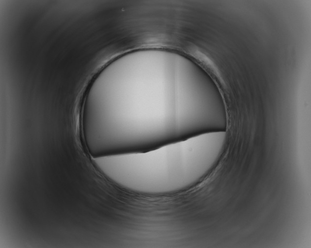 X0000088651419200705250933