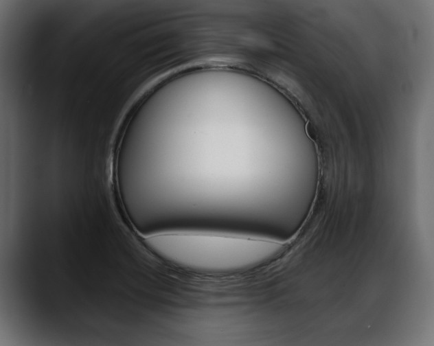 X0000088651420200705250933