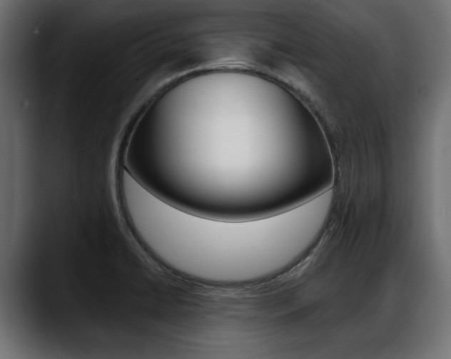 X0000088651422200705250933
