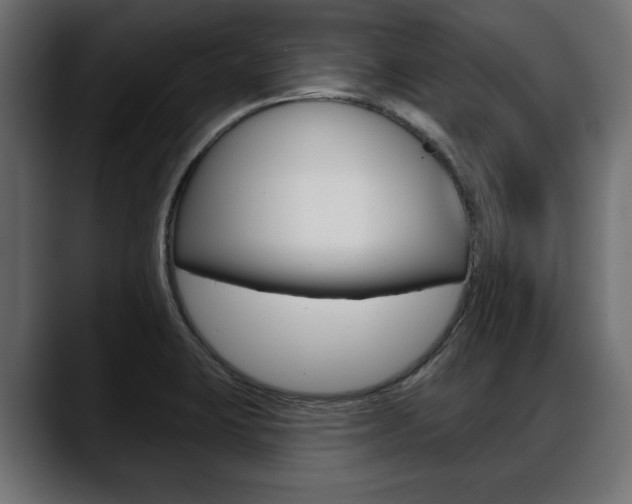 X0000088651423200705250933