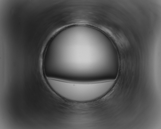 X0000088651424200705250933