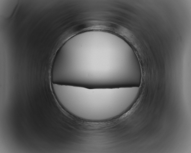 X0000088651425200705250933