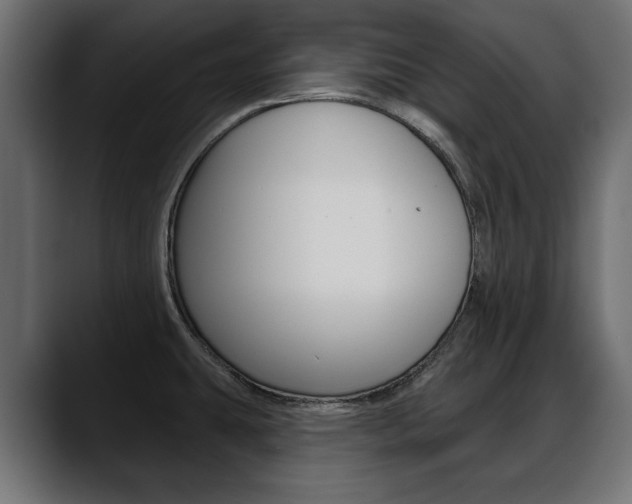 X0000088651431200705250933