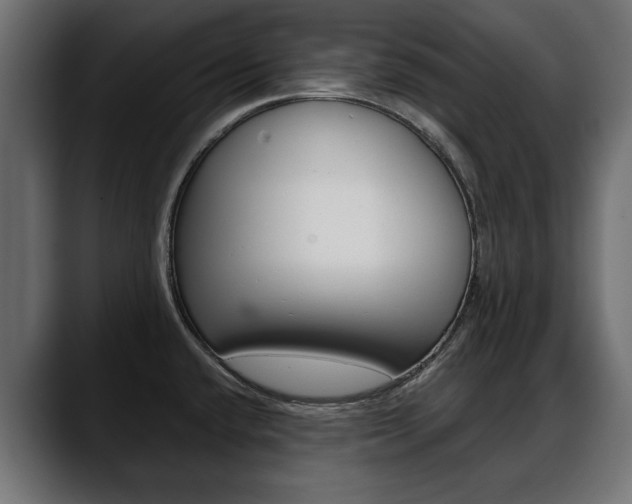 X0000088651432200705250933