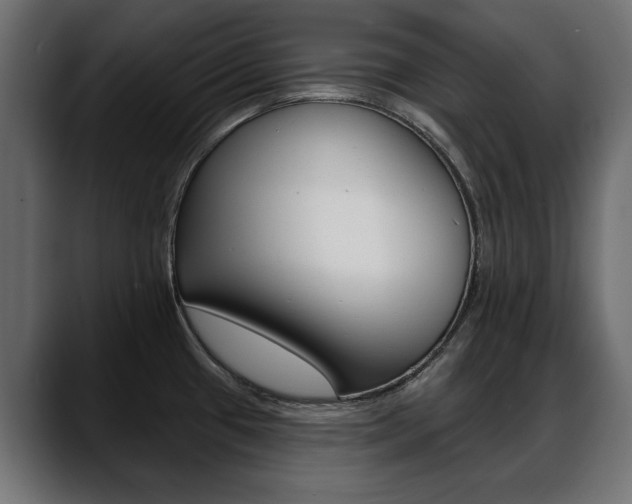X0000088651433200705250933