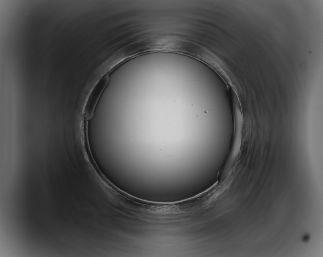 X0000088651434200705250933