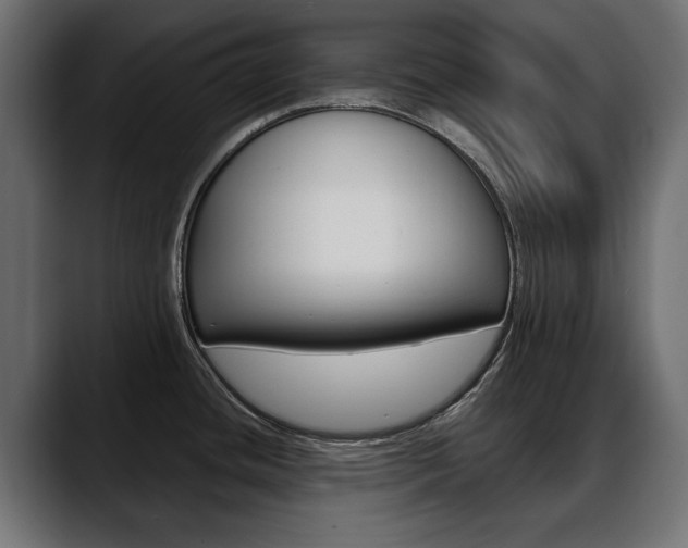 X0000088651436200705250933