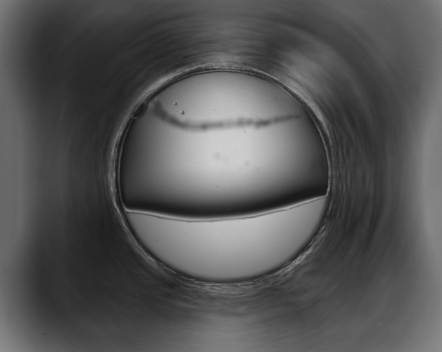 X0000088651437200705250933