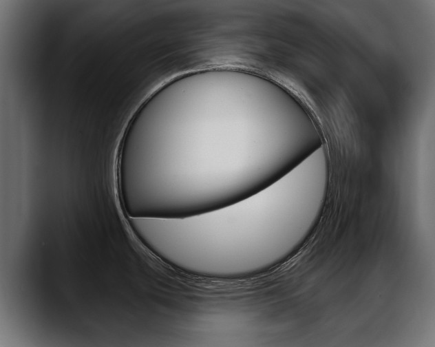 X0000088651439200705250933