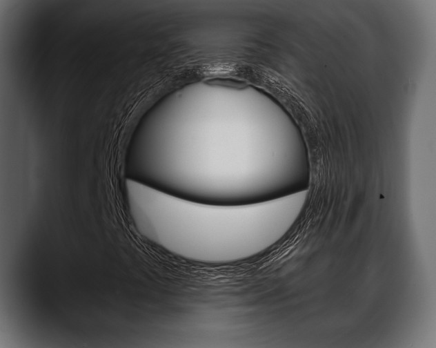 X0000088651441200705250932
