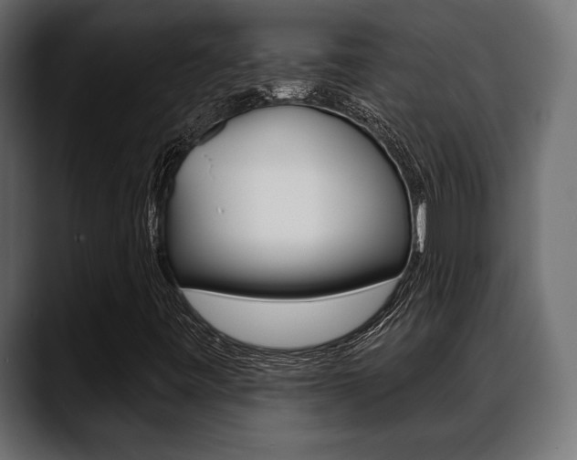 X0000088651443200705250932