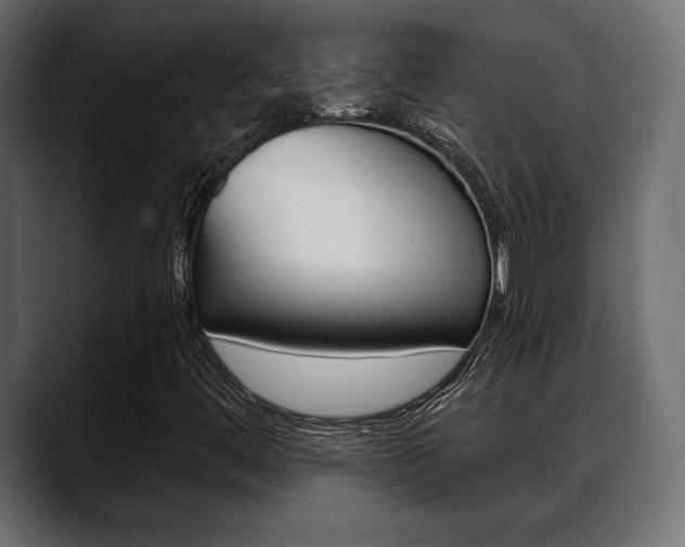 X0000088651444200705250932