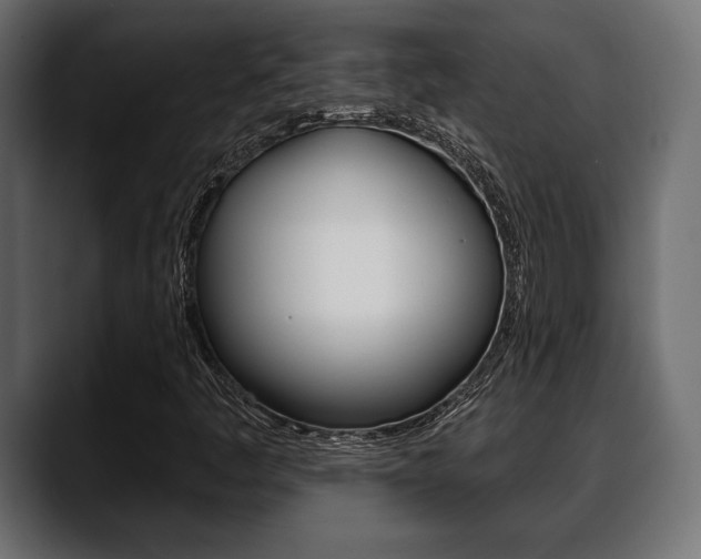 X0000088651445200705250932