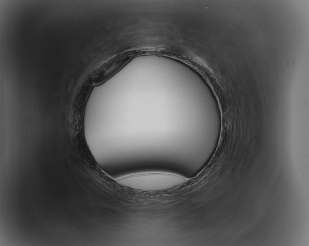 X0000088651448200705250932