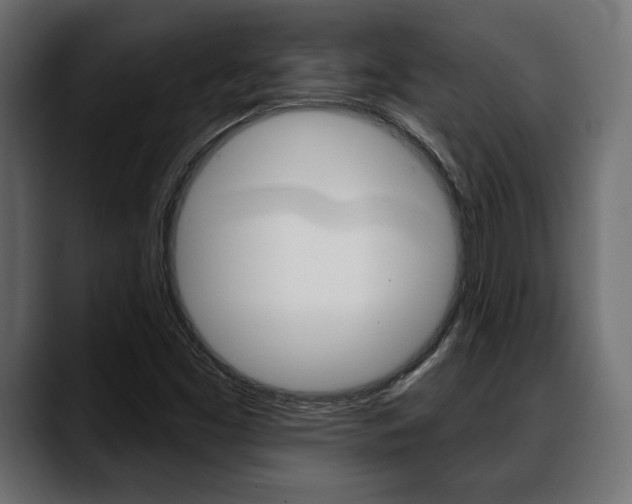 X0000088651453200705250932